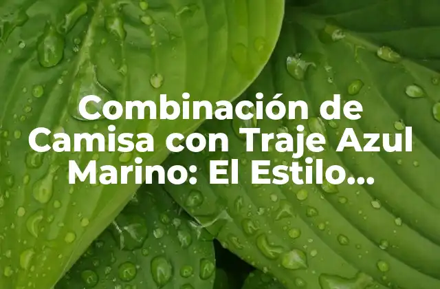 Combinación de Camisa con Traje Azul Marino: el Estilo Perfecto para Hombres