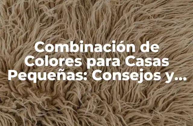 Combinación de Colores para Casas Pequeñas: Consejos y Tendencias