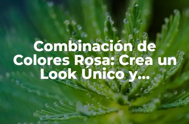 ¿Qué es la Teoría del Color Rosa?