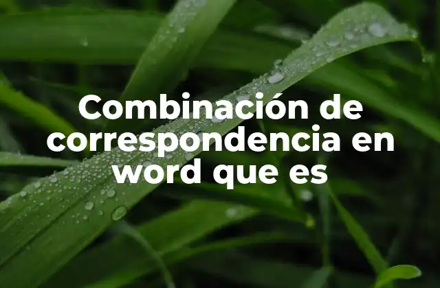 Combinación de Correspondencia en Word que es