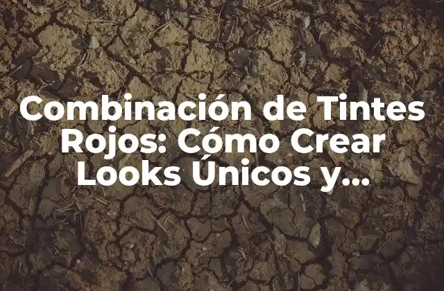 Combinación de Tintes Rojos: Cómo Crear Looks Únicos y Atractivos