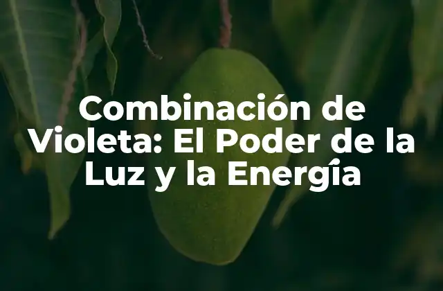 Combinación de Violeta: el Poder de la Luz y la Energía