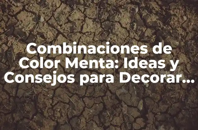 Combinaciones de Color Menta: Ideas y Consejos para Decorar con Elegancia