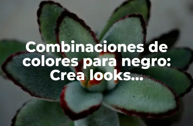 Combinaciones de Colores para Negro: Crea Looks Impresionantes con Estos Consejos