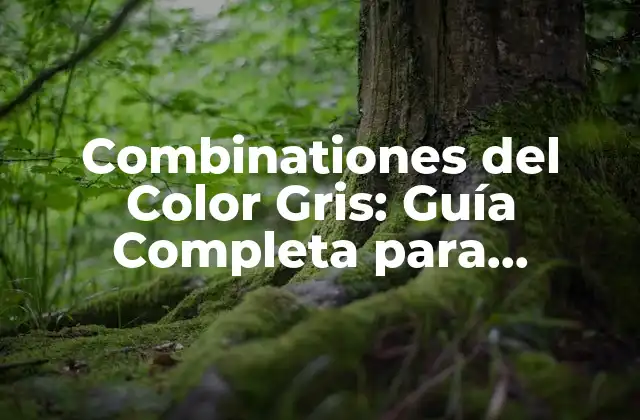 Combinationes Del Color Gris: Guía Completa para Diseñadores y Decoradores