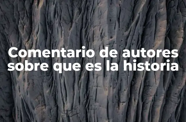 Comentario de Autores sobre que es la Historia