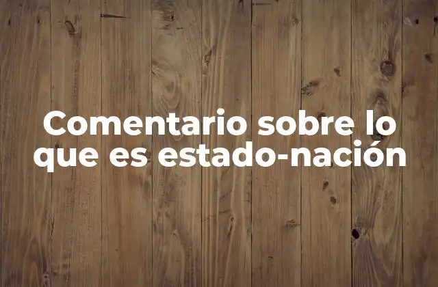 Comentario sobre Lo que es Estado-nación
