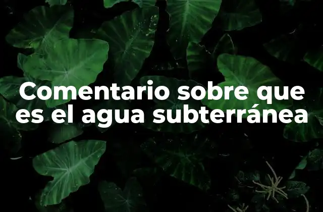 Comentario sobre que es el Agua Subterránea 2 La importancia del agua subterránea en la vida cotidiana