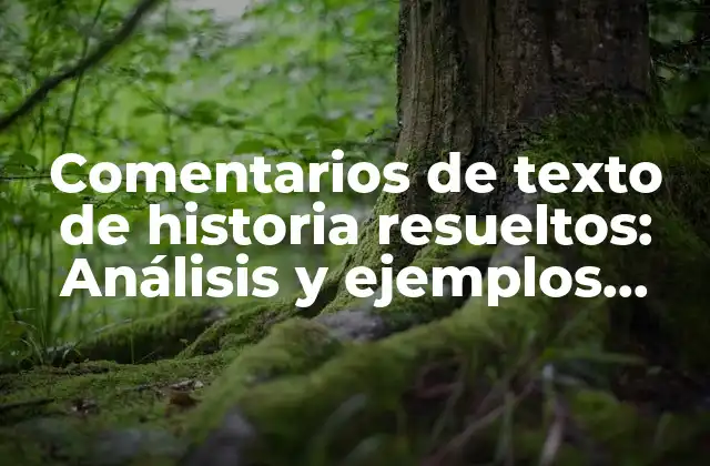 Comentarios de Texto de Historia Resueltos: Análisis y Ejemplos Prácticos