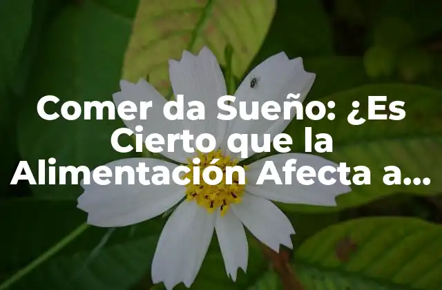 Comer Da Sueño: ¿es Cierto que la Alimentación Afecta a la Calidad Del Sueño?
