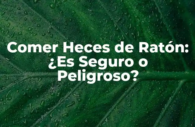 Comer Heces de Ratón: ¿es Seguro o Peligroso?
