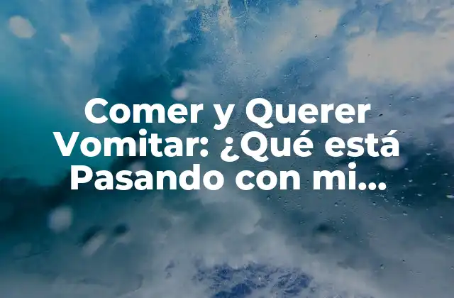 Comer y Querer Vomitar: ¿qué Está Pasando con Mi Cuerpo?