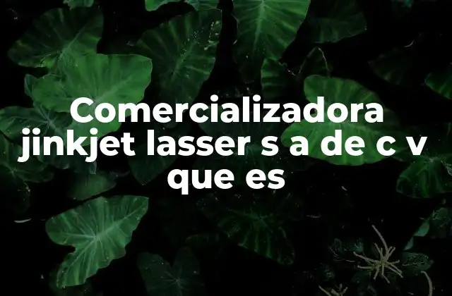 Comercializadora Jinkjet Lasser S a de C V que es