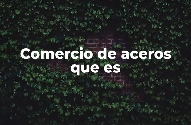 Comercio de Aceros que es