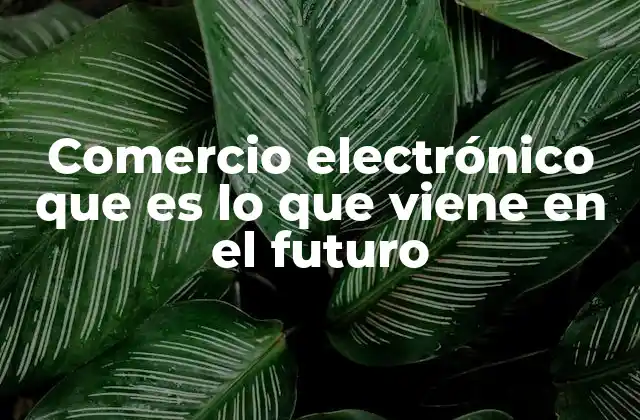 El futuro del comercio digital y la transformación de la experiencia de compra