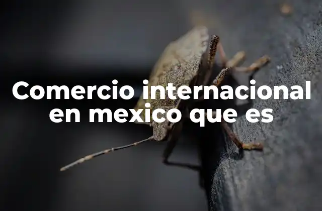 Comercio Internacional en Mexico que es