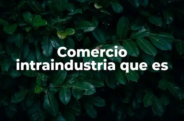 Comercio Intraindustria que es