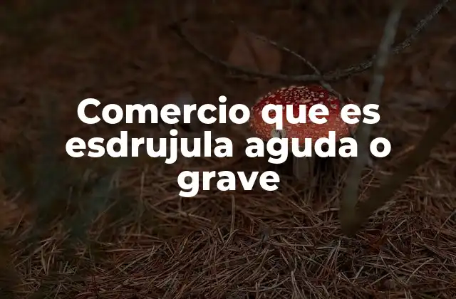 Comercio que es Esdrujula Aguda o Grave