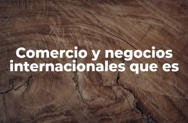 Comercio y Negocios Internacionales que es