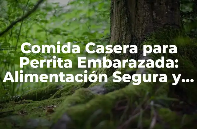 Comida Casera para Perrita Embarazada: Alimentación Segura y Nutritiva