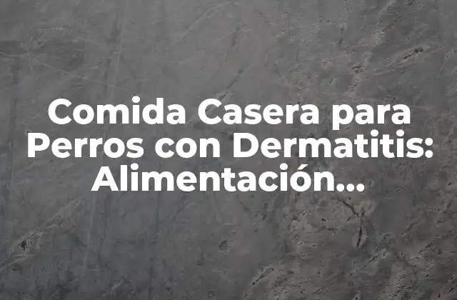 Comida Casera para Perros con Dermatitis: Alimentación Saludable y Natural