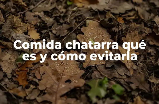 Comida Chatarra Qué es y Cómo Evitarla 2 El impacto de la comida chatarra en la salud pública