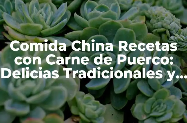 Comida China Recetas con Carne de Puerco: Delicias Tradicionales y Modernas