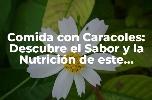 Comida con Caracoles: Descubre el Sabor y la Nutrición de Este Delicatessen Francés
