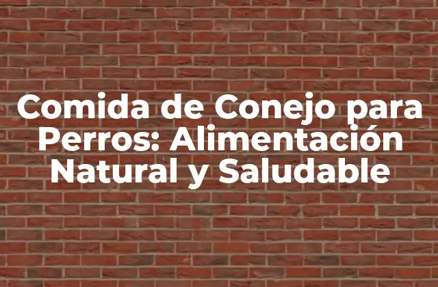 Comida de Conejo para Perros: Alimentación Natural y Saludable