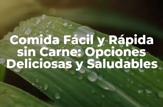Comida Fácil y Rápida sin Carne: Opciones Deliciosas y Saludables