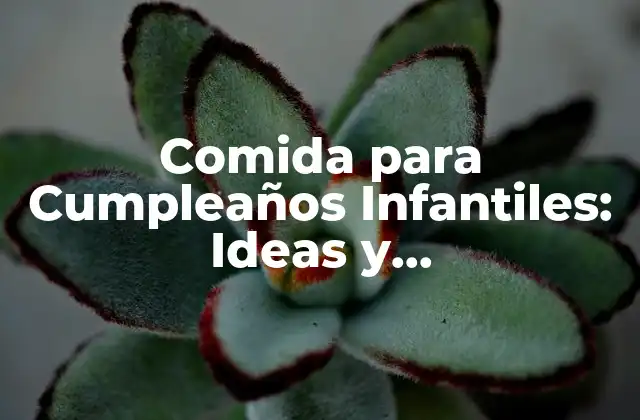Comida para Cumpleaños Infantiles: Ideas y Recomendaciones