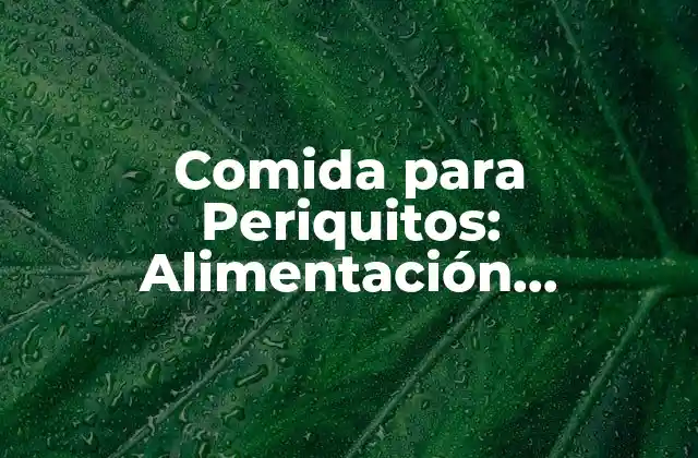 Comida para Periquitos: Alimentación Saludable para Aves Canoras