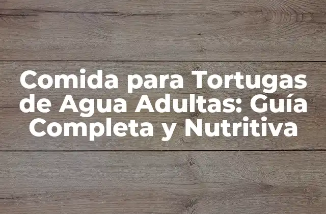 Comida para Tortugas de Agua Adultas: Guía Completa y Nutritiva
