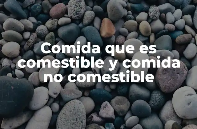 Comida que es Comestible y Comida No Comestible 2 La importancia de distinguir entre lo que se puede y no se puede comer