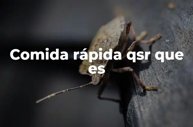 Comida Rápida Qsr que es 2 El modelo de negocio detrás de la comida rápida QSR