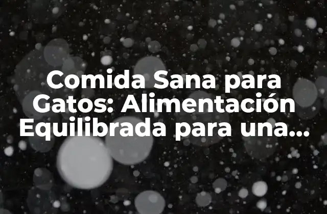 Comida Sana para Gatos: Alimentación Equilibrada para una Vida Feliz