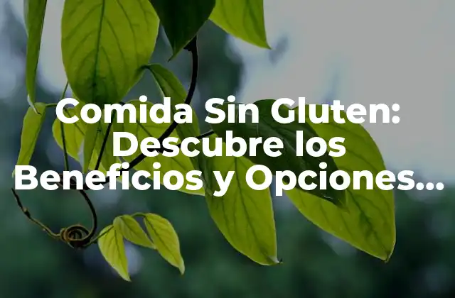Comida sin Gluten: Descubre los Beneficios y Opciones para una Dieta Saludable
