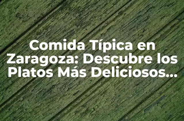 Comida Típica en Zaragoza: Descubre los Platos Más Deliciosos de la Ciudad