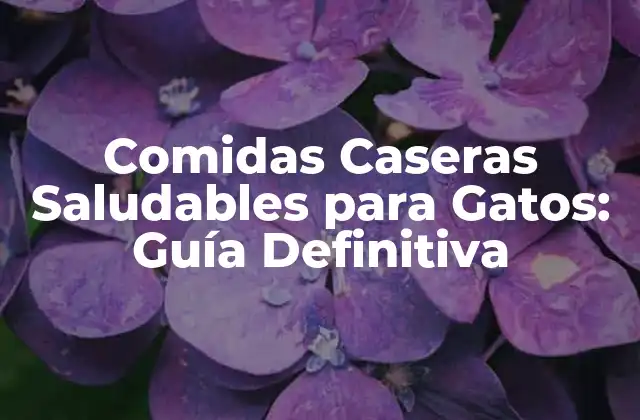 Comidas Caseras Saludables para Gatos: Guía Definitiva 2 Beneficios de las Comidas Caseras Saludables para Gatos