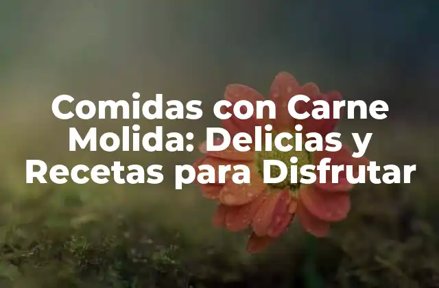 Comidas con Carne Molida: Delicias y Recetas para Disfrutar