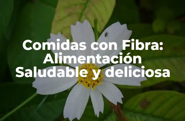 Comidas con Fibra: Alimentación Saludable y Deliciosa