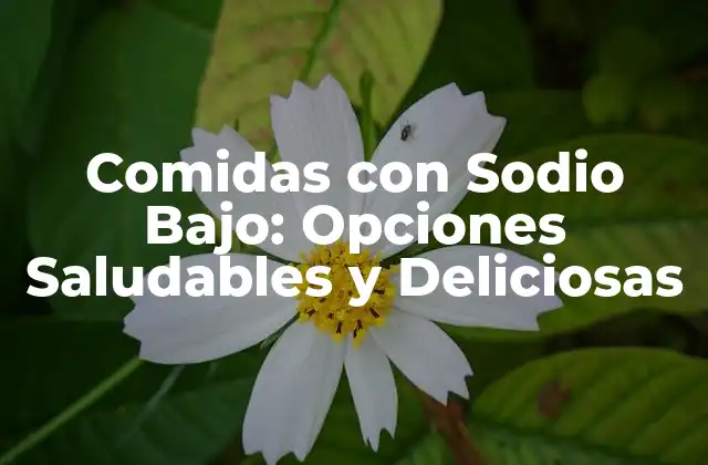 Comidas con Sodio Bajo: Opciones Saludables y Deliciosas