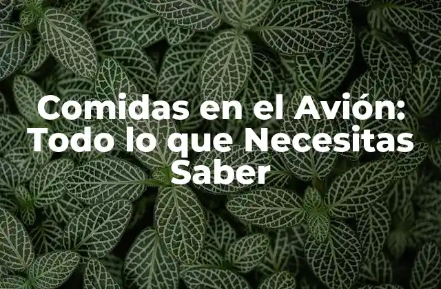 Comidas en el Avión: Todo Lo que Necesitas Saber