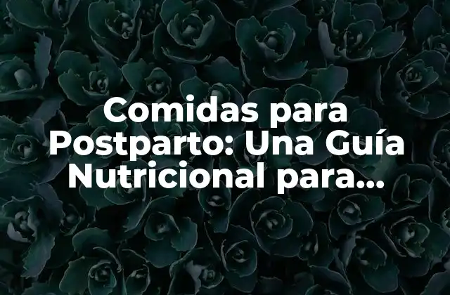 Comidas para Postparto: una Guía Nutricional para Madres Recién Nacidas
