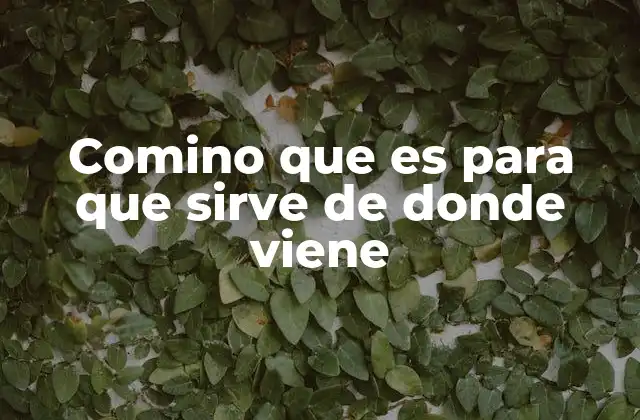 El comino en la historia y su uso cultural