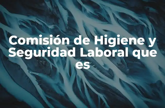 Comisión de Higiene y Seguridad Laboral que es