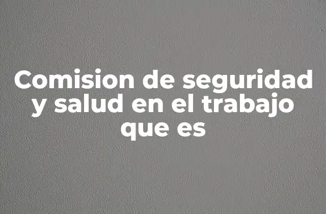 Comision de Seguridad y Salud en el Trabajo que es