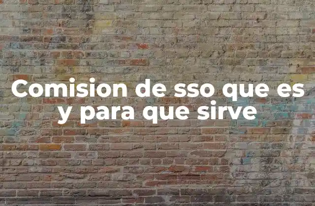 Comision de Sso que es y para que Sirve 2 La importancia del SSO en la gestión de identidad digital