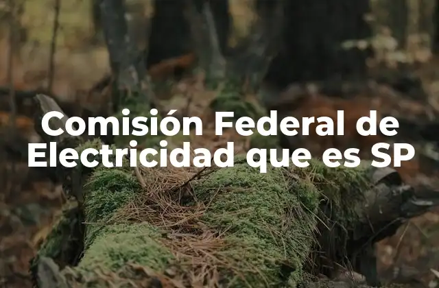 Comisión Federal de Electricidad que es Sp 2 El papel de la CFE en el sistema energético nacional