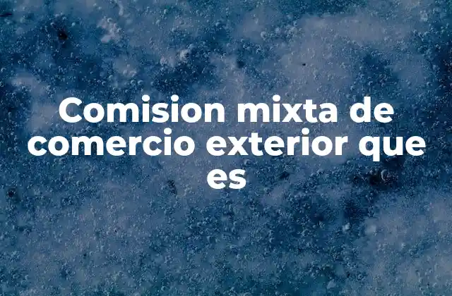 Comision Mixta de Comercio Exterior que es 2 El rol de las comisiones en la relación internacional